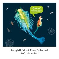 KOSMOS Mitbringspiel Experiment Urzeit-Krebse 657871