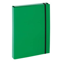 PAGNA Heftbox Basic Colour, A4, grün