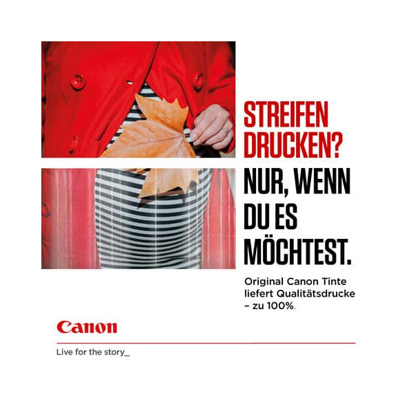 Canon Original Canon Druckkopfpatrone schwarz pigmentiert (5225B001,PG-540)