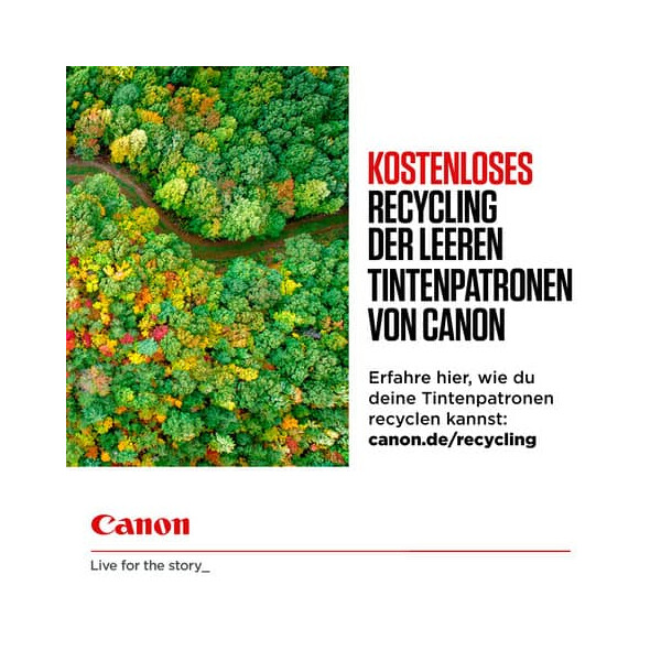 Canon Original Canon Druckkopfpatrone schwarz pigmentiert (5225B001,PG-540)