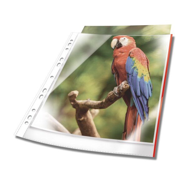 DURABLE Prospekth&uuml;lle PREMIUM, oben offen, A4, PP, 80 my, glasklar rot, 10 St&uuml;ck 2654 03