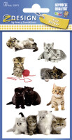 ZDesign KIDS Sticker "Katzen-Babies", bunt