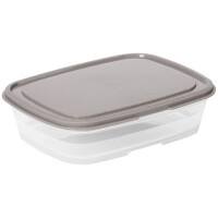smartstore Frischhaltedose, 0,5 Liter, grau transparent