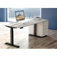 kerkmann Sitz-Steh-Schreibtisch Move 4, (B)1.200 mm