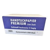 HV Handtuchpapier V-Falz 2-lagig 24x22 20x200 Blatt