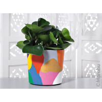 Marabu Acrylfarbe DO IT Craft Paint, 36 ml, sand