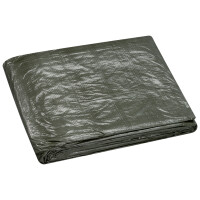 WESTEX Gewebeplane mit Ösen, 6 x 8 m, grün, 75 g