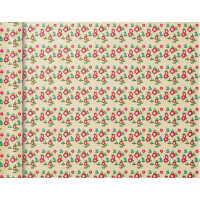 Clairefontaine Geschenkpapier "Tiny Rolls Linien grün"