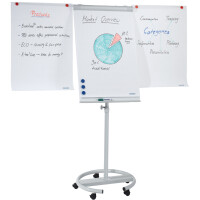 FRANKEN Flipchart "ECO Mobil", 680 x 1.050 mm, hellgrau