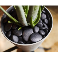 tera Dekosteine "Pebbles", Größe S,...