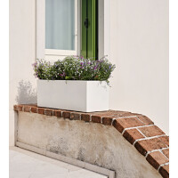 tera Pflanztrog "Schio Cassa 60", antracite