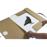 kangaro Zeichnungsmappe Kraft, DIN A4, Karton, mit...