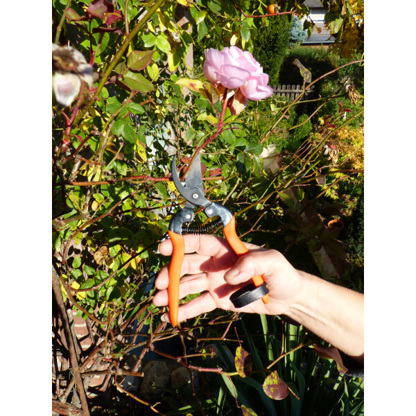 Garten PRIMUS Ersatzfeder für "RosenWunderschere"