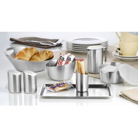 Esmeyer Serviertablett VISTA, rechteckig, silber