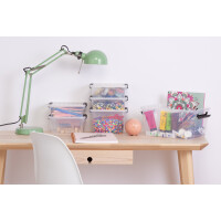 plast team Aufbewahrungsbox HOME BOX, 3,0 Liter, transparent