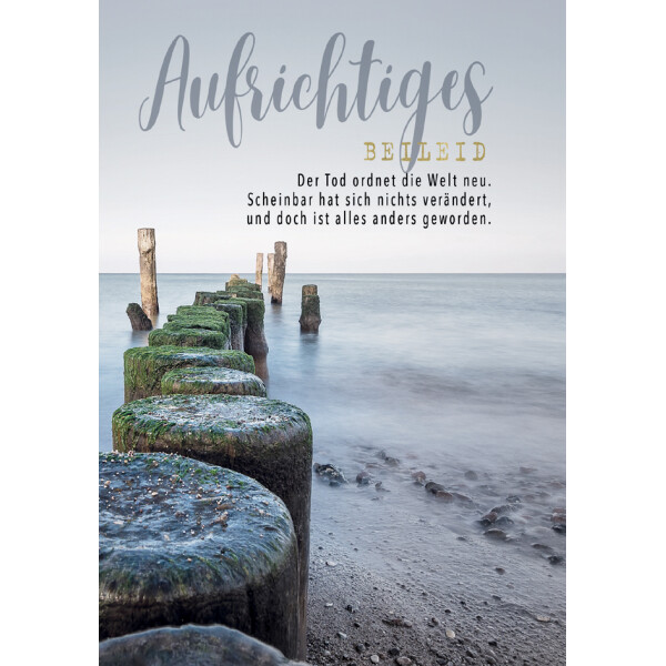 CACTUS Trauerkarte "Steg in Abenddämmerung"