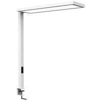 MAUL LED-Tischaufbauleuchte MAULsenja, dimmbar, weiß