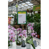 METO Rahmenständer, DIN A4 , rot, inkl. Rahmen