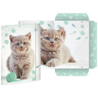 RNK Verlag Zeichnungsmappe "Delphin", Karton,...