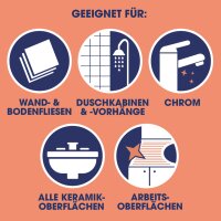 SAGROTAN Schimmelentferner 750ml 3284270