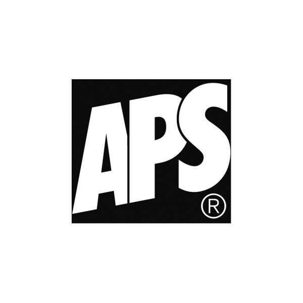APS Besteckbeh&auml;lter Dart, 3 F&auml;cher, schwarz 11755