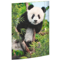 RNK Gummizugmappe, A3, Panda