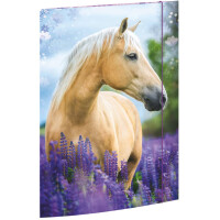 RNK Gummizugmappe, A3, Pferdeträume