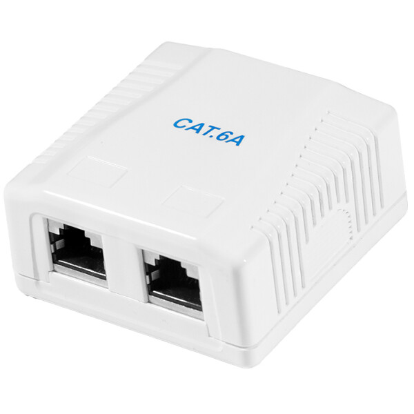 LogiLink Anschlussdose Kat.6A mit Aufputzbox, 2x RJ45, weiß