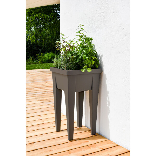 EDA Deckel für Mini-Hochbeet "VEG&Table", transparent