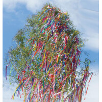 PAPSTAR Krepp-Papier-Rollen, 500 mm x 2,5 m, sortiert