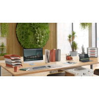 CEP Stehsammler Terra Nova, DIN A4, farbig sortiert