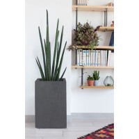 poétic Pflanzsäule BASALT UP, Höhe: 495...