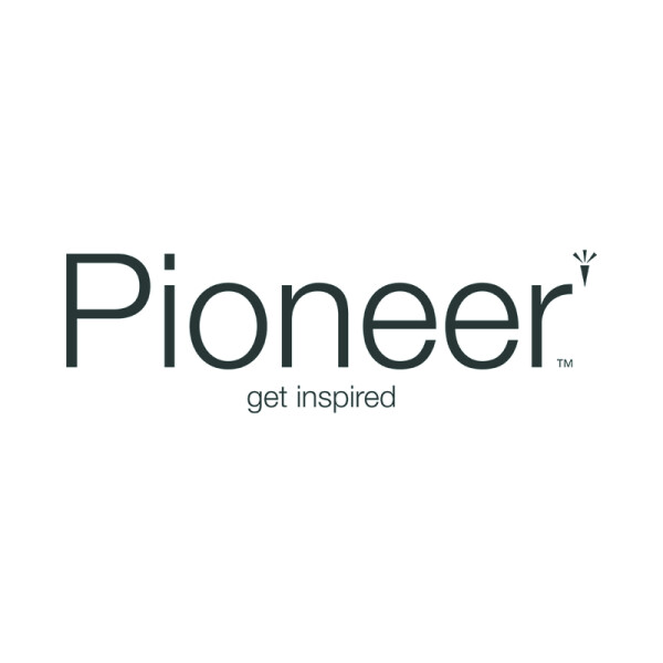 PIONEER special inspiration Premiumpapier hochwei&szlig; 2-fach gelocht A4 80g - 1 Palette (100.000 Blatt)