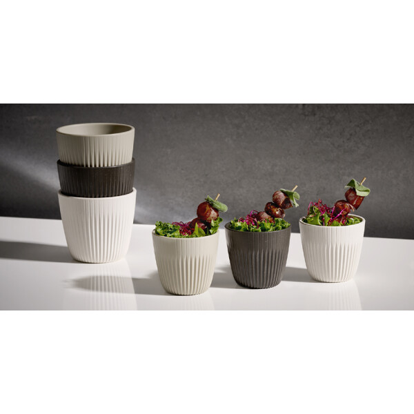 APS Schale LINEO, 180 ml, grau, 6er Set