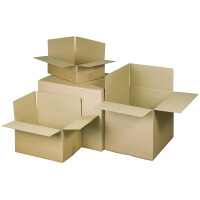 RAADHUIS Wellpapp-Faltkarton, (L)305 x (B)220 x (H)250 mm