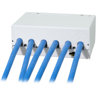 LogiLink Desktop Patch Panel Kat.6A, 6 Port, lichtgrau