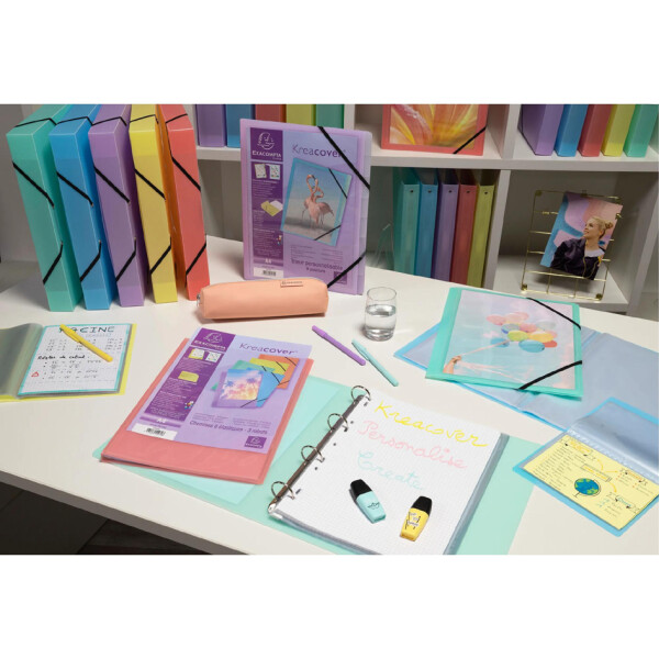 EXACOMPTA Sichtbuch, DIN A4, PP, 40 Hüllen, farbig sortiert