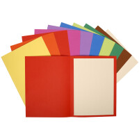 EXACOMPTA Aktenmappe "Flash 220", A4, Karton,...