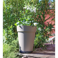 EDA Pflanzenroller, 5 Rollen, in Steinoptik