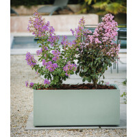 poétic Pflanztrog BASALT UP, Länge: 795 mm,...