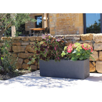 poétic Pflanztrog BASALT UP, Länge: 795 mm,...