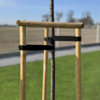 Bradas Baum-Bindeband, PP, 30 mm x 50 m, schwarz