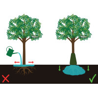 Bradas Bewässerungssack für Bäume, PVC, 75...