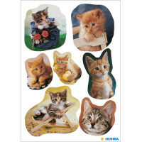 HERMA Sticker DECOR Fröhliche Katzenkinder, Papier