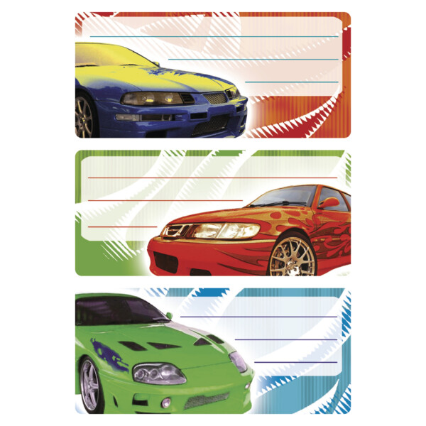 HERMA Buchetiketten VARIO "Sport", 76 x 35 mm