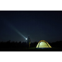 ANSMANN Akku LED-Taschenlampe Survival TS450RF, schwarz