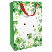 BRAUN+COMPANY Geschenktragetasche Lucky You, 36 x 26 x 13...