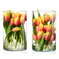Ritzenhoff & Breker Blumenvase AMALIA, transparent