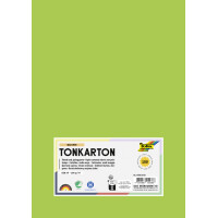folia Tonkarton, DIN A4, 180 g qm, chamois