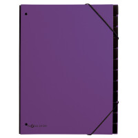 PAGNA Pultordner Trend, DIN A4, 12 Fächer, orange